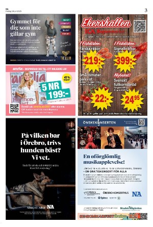 nerikesallehanda_bergslagen-20250718_000_00_00_003.pdf