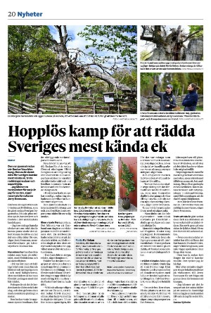 nerikesallehanda_bergslagen-20250807_000_00_00_020.pdf