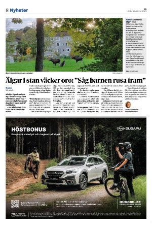 nerikesallehanda_bergslagen-20251018_000_00_00_008.pdf
