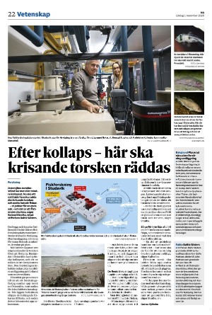 nerikesallehanda_bergslagen-20251101_000_00_00_022.pdf nerikesallehanda_bergslagen-20251101_000_00_00_022.pdf