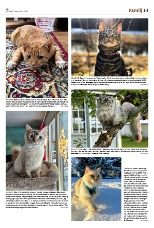 nerikesallehanda_bergslagen-20251123_000_00_00_013.pdf