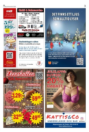 nerikesallehanda_bergslagen-20251219_000_00_00_003.pdf