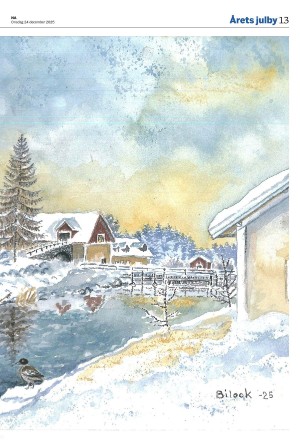 nerikesallehanda_bergslagen-20251224_000_00_00_013.pdf