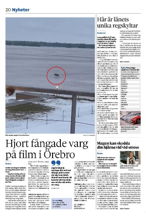 nerikesallehanda_bergslagen-20260123_000_00_00_020.pdf