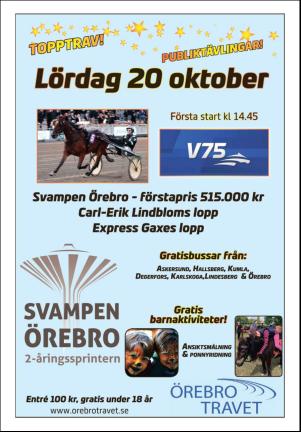 nerikesallehanda_bergslagen_b-20181013_000_00_00_013.pdf
