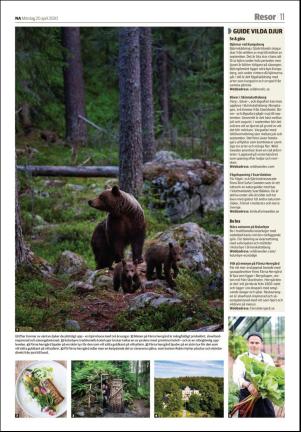 nerikesallehanda_bergslagen_b-20200420_000_00_00_011.pdf