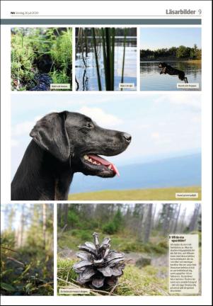 nerikesallehanda_bergslagen_b-20200726_000_00_00_009.pdf