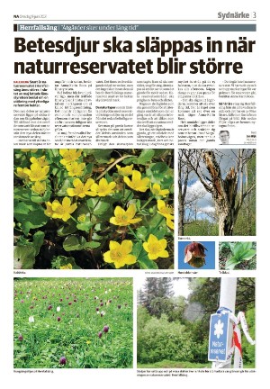 nerikesallehanda_bergslagen_b-20210609_000_00_00_003.pdf