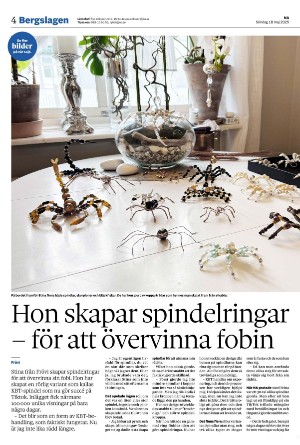 nerikesallehanda_bergslagen_b-20250518_000_00_00_004.pdf