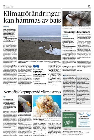 nerikesallehanda_bergslagen_b-20250602_000_00_00_011.pdf