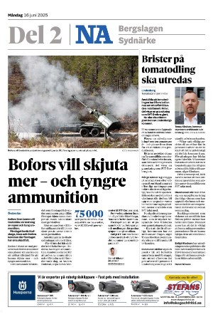 nerikesallehanda_bergslagen_b-20250616_000_00_00.pdf