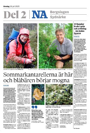 nerikesallehanda_bergslagen_b-20250716_000_00_00.pdf