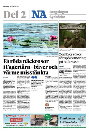 nerikesallehanda_bergslagen_b-20250730_000_00_00.pdf