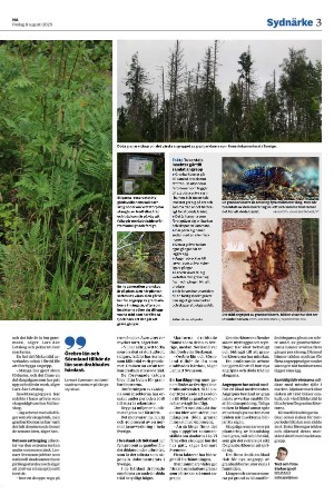 nerikesallehanda_bergslagen_b-20250808_000_00_00_003.pdf