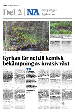 nerikesallehanda_bergslagen_b-20250826_000_00_00.pdf