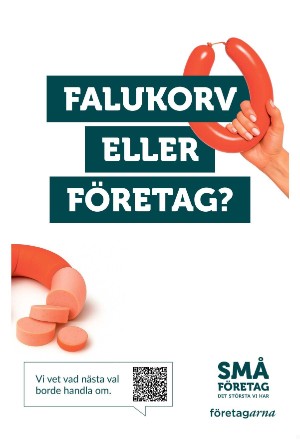 nerikesallehanda_bergslagen_b-20250913_000_00_00_006.pdf