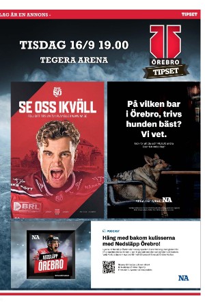 nerikesallehanda_bergslagen_b-20250916_000_00_00_011.pdf