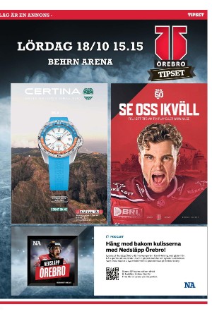 nerikesallehanda_bergslagen_b-20251018_000_00_00_013.pdf