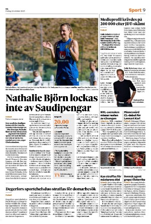 nerikesallehanda_bergslagen_b-20251024_000_00_00_009.pdf