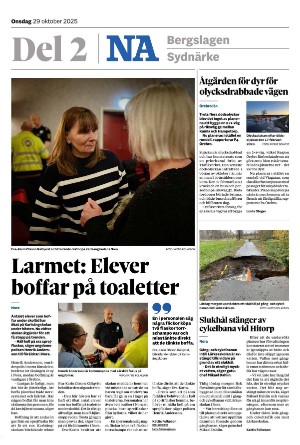 nerikesallehanda_bergslagen_b-20251029_000_00_00.pdf nerikesallehanda_bergslagen_b-20251029_000_00_00.pdf