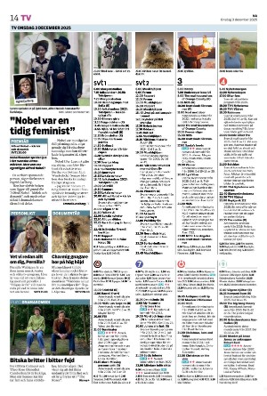 nerikesallehanda_bergslagen_b-20251203_000_00_00_014.pdf