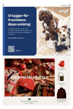 nerikesallehanda_bergslagen_b-20251206_000_00_00_006.pdf