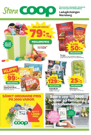 nerikesallehanda_bergslagen_b-20260129_000_00_00_007.pdf