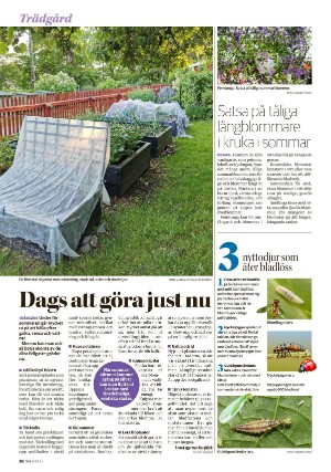 nerikesallehanda_bergslagen_helg-20250531_000_00_00_020.pdf