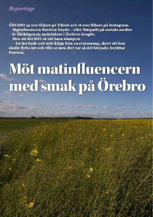 nerikesallehanda_bergslagen_helg-20250607_000_00_00_004.pdf