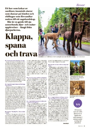 nerikesallehanda_bergslagen_helg-20251004_000_00_00_011.pdf