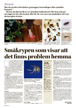 nerikesallehanda_bergslagen_helg-20251018_000_00_00_020.pdf