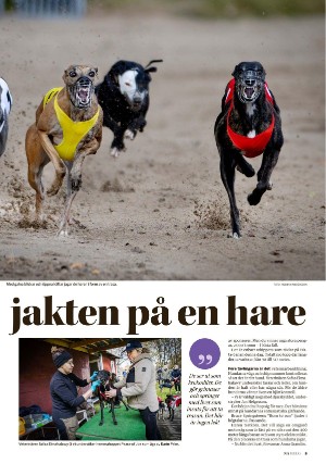 nerikesallehanda_bergslagen_helg-20251031_000_00_00_005.pdf nerikesallehanda_bergslagen_helg-20251031_000_00_00_005.pdf