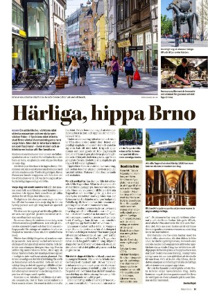 nerikesallehanda_bergslagen_helg-20251108_000_00_00_011.pdf