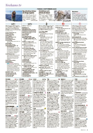 nerikesallehanda_bergslagen_tv-20250830_000_00_00_003.pdf