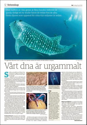 nerikesallehanda_orebro-20180720_000_00_00_012.pdf