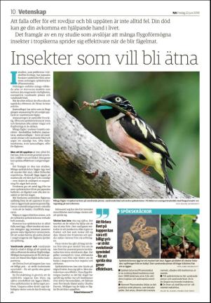 nerikesallehanda_orebro_b-20180622_000_00_00_010.pdf