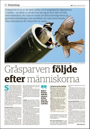 nerikesallehanda_orebro_b-20180907_000_00_00_010.pdf
