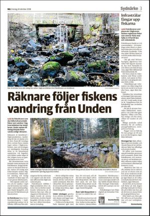 nerikesallehanda_orebro_b-20181024_000_00_00_003.pdf