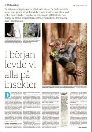 nerikesallehanda_orebro_b-20190117_000_00_00_008.pdf