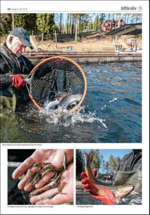 nerikesallehanda_orebro_c-20180427_000_00_00_019.pdf
