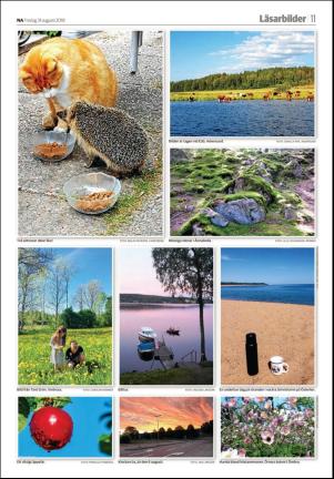 nerikesallehanda_orebro_c-20180831_000_00_00_011.pdf