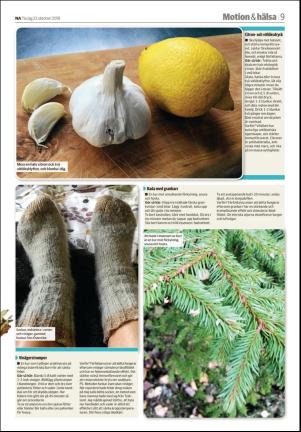 nerikesallehanda_orebro_d-20181023_000_00_00_009.pdf