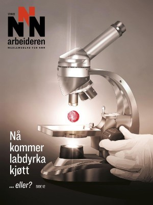 NNN-arbeideren 2022/7 (08.12.22)