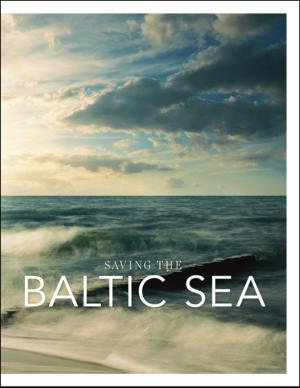 nordiccleantechreview-20121201_003_00_00_027.pdf