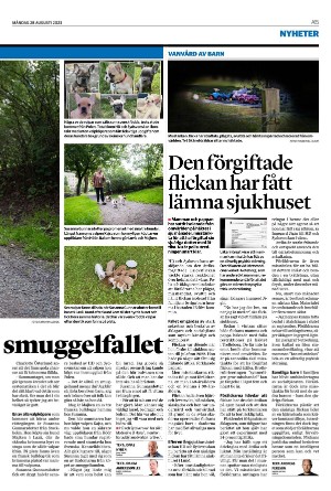 nordvastraskanestidningar-20230828_000_00_00_015.pdf
