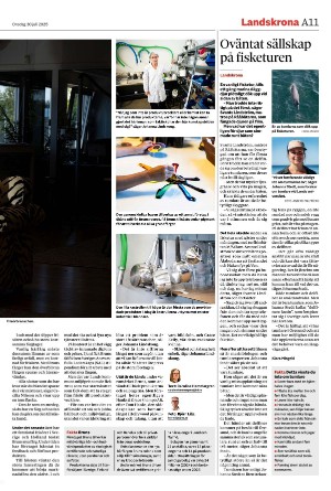 nordvastraskanestidningar-20250730_000_00_00_011.pdf