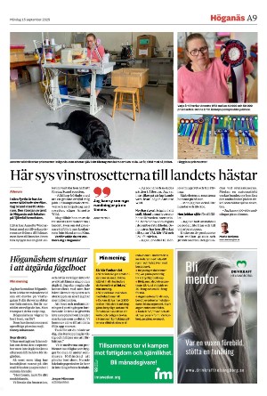 nordvastraskanestidningar-20250915_000_00_00_009.pdf