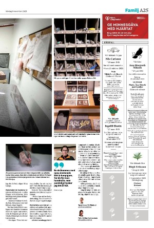 nordvastraskanestidningar-20251109_000_00_00_025.pdf