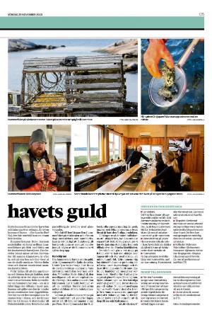nordvastraskanestidningar_c-20201129_000_00_00_015.pdf