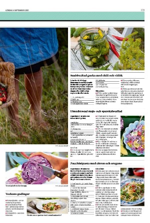 nordvastraskanestidningar_c-20210904_000_00_00_013.pdf